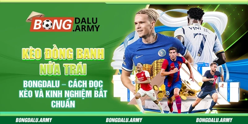 Kèo đồng banh nửa trái Bongdalu – Cách đọc kèo và kinh nghiệm bắt chuẩn
