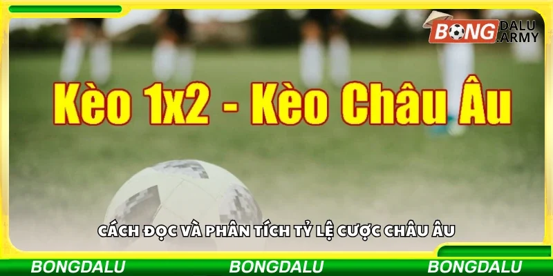 Cách đọc và phân tích tỷ lệ cược châu Âu