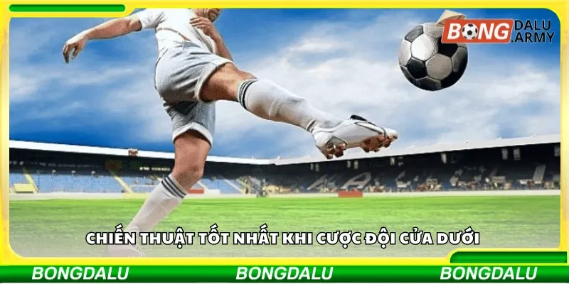 Chiến thuật tốt nhất khi cược đội cửa dưới