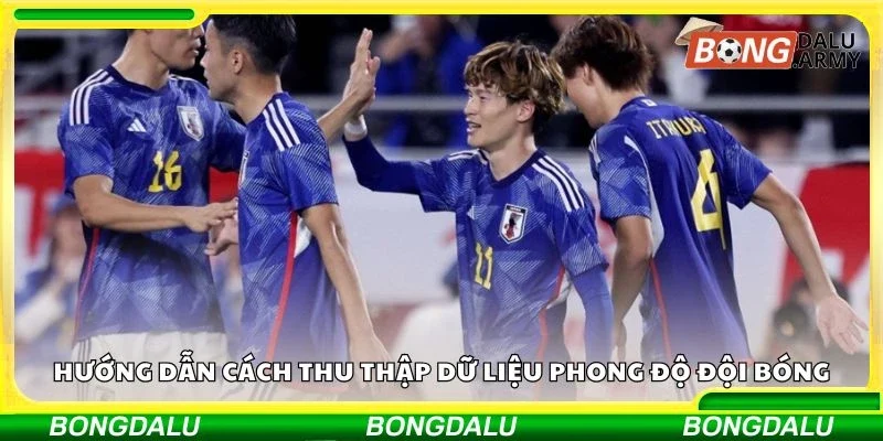 Hướng dẫn cách thu thập dữ liệu phong độ đội bóng