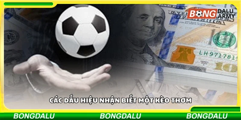 Một số dấu hiệu nhận biết một kèo thơm