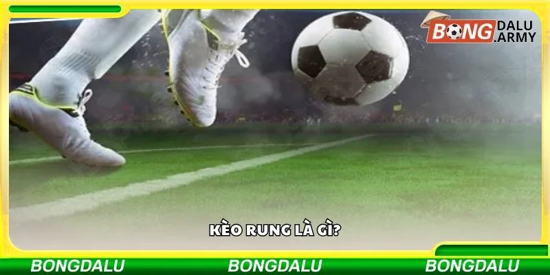 Tìm hiểu sơ lược về kèo rung 