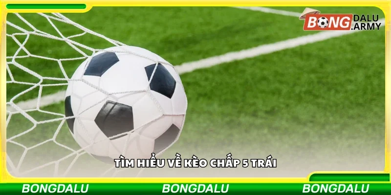 Tìm hiểu về kèo chấp 5 trái
