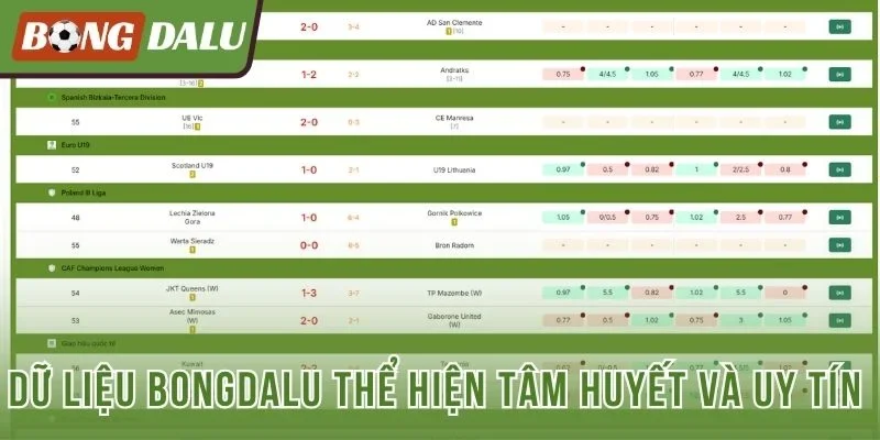 Dữ liệu Bongdalu thể hiện tâm huyết và uy tín